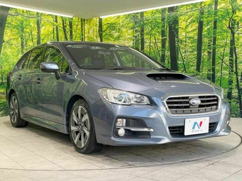 LEVORG