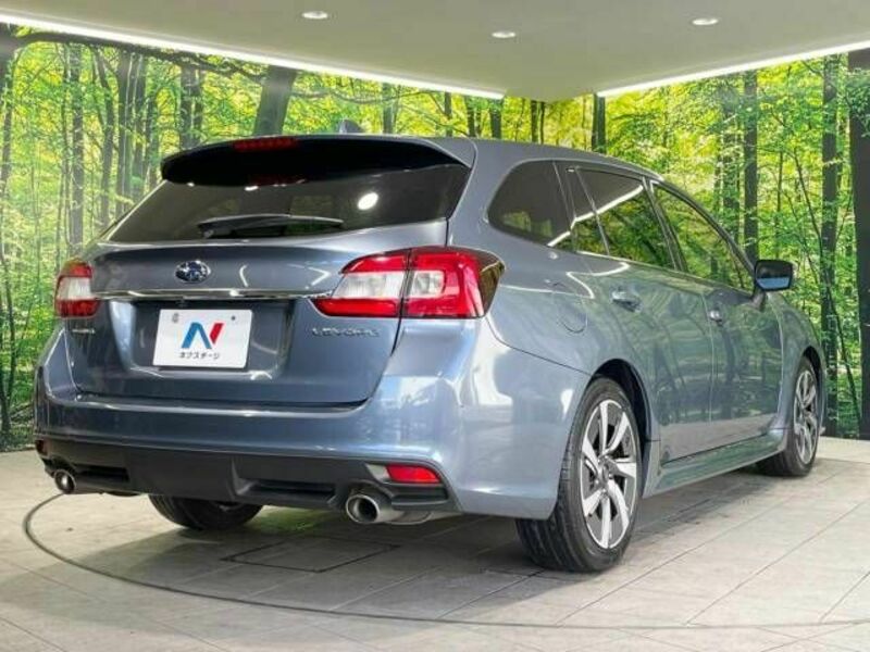 LEVORG