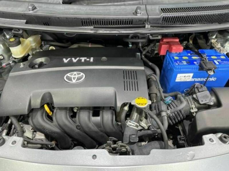 VITZ