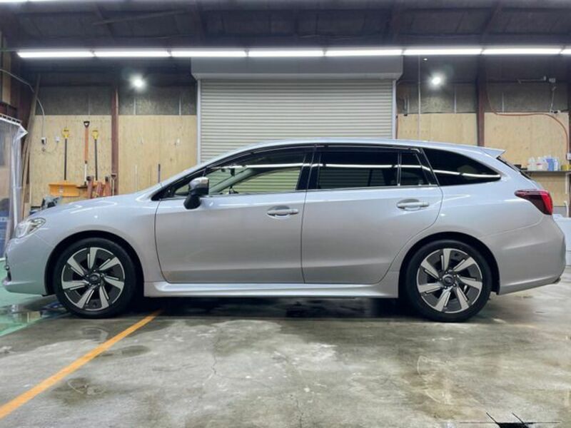 LEVORG