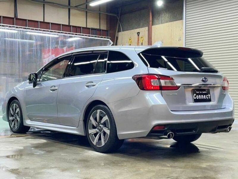 LEVORG