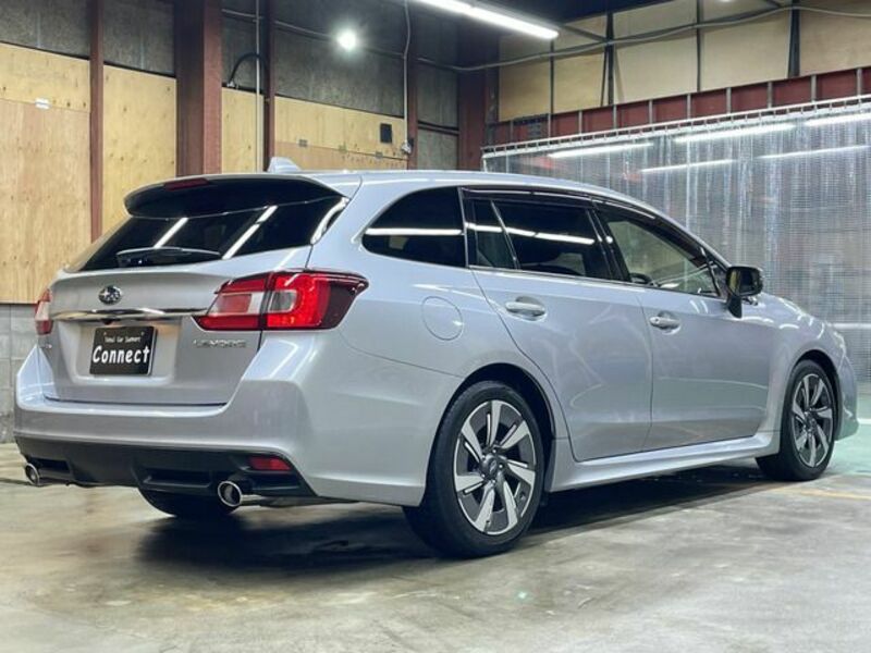 LEVORG