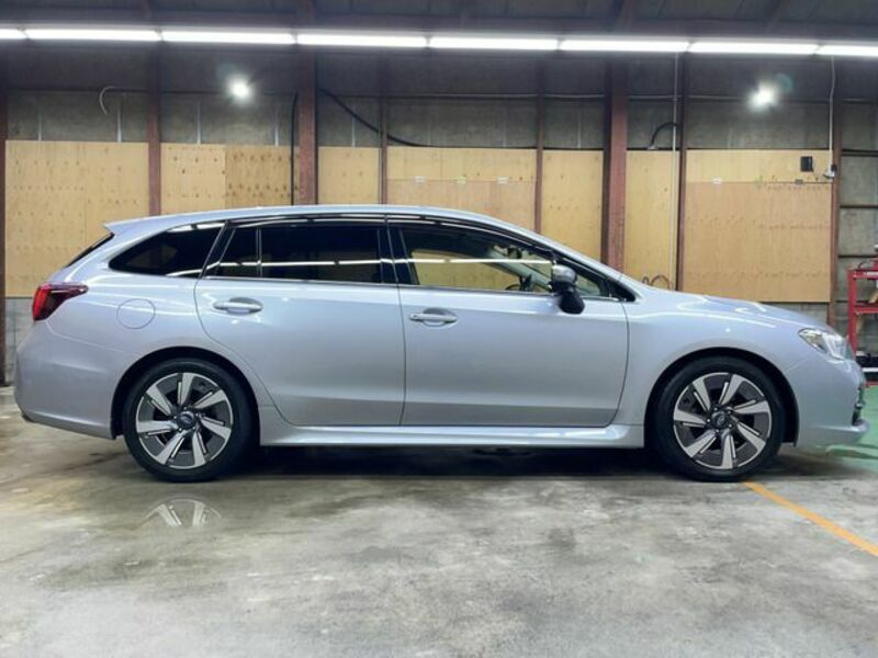 LEVORG