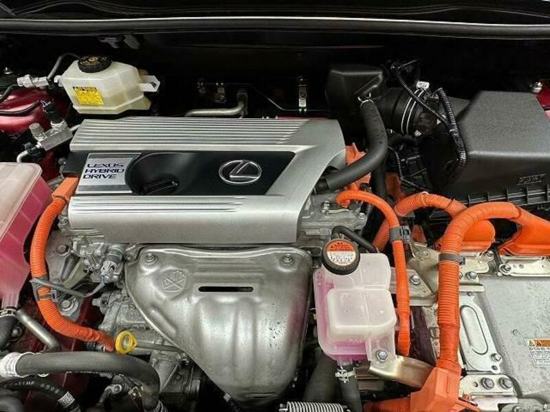 NX