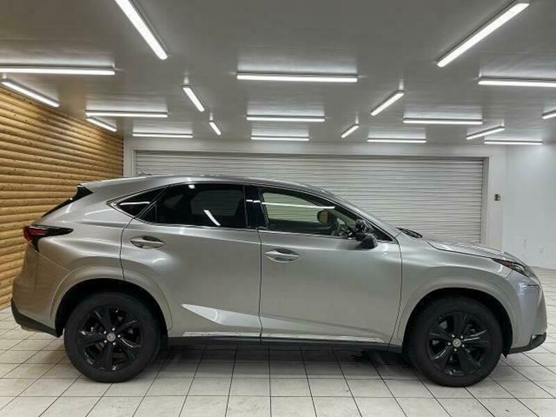 NX