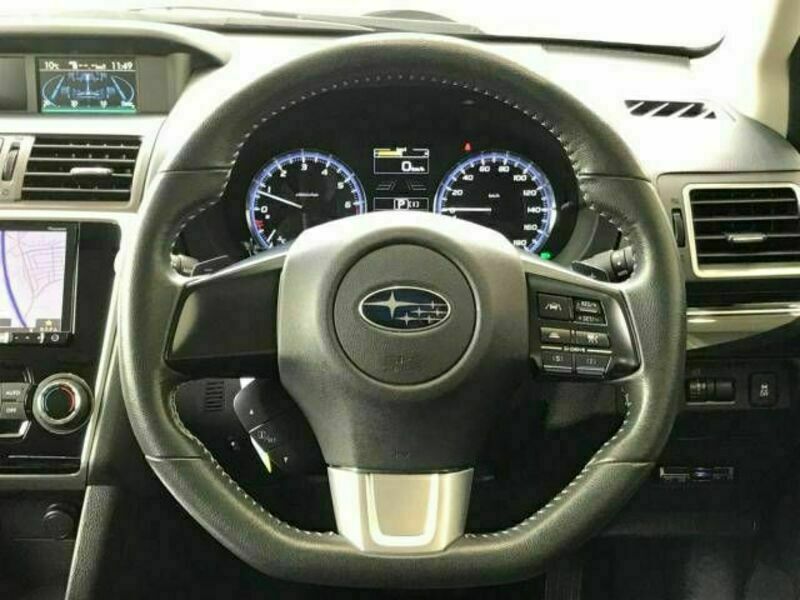 LEVORG