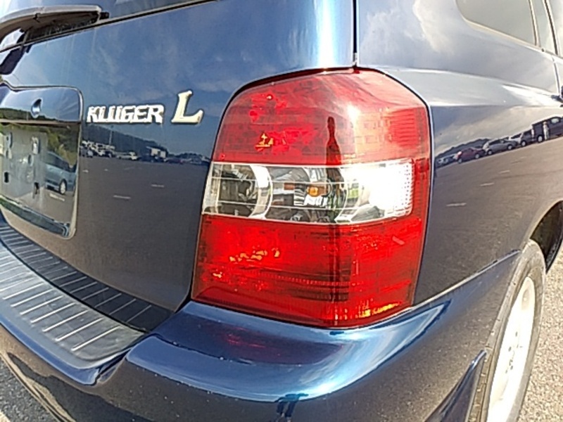 KLUGER L