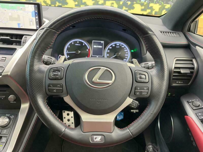 NX