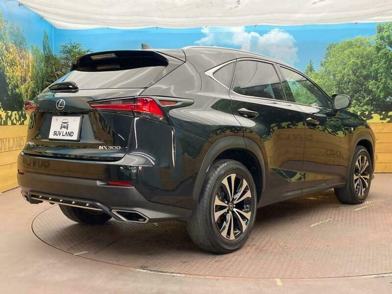 NX