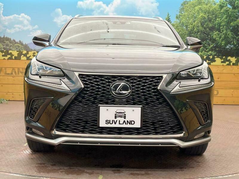NX