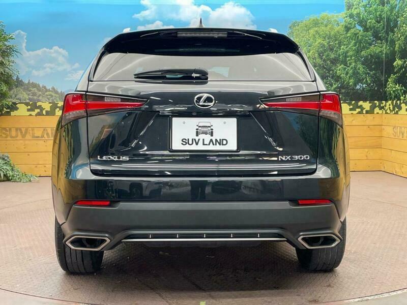 NX