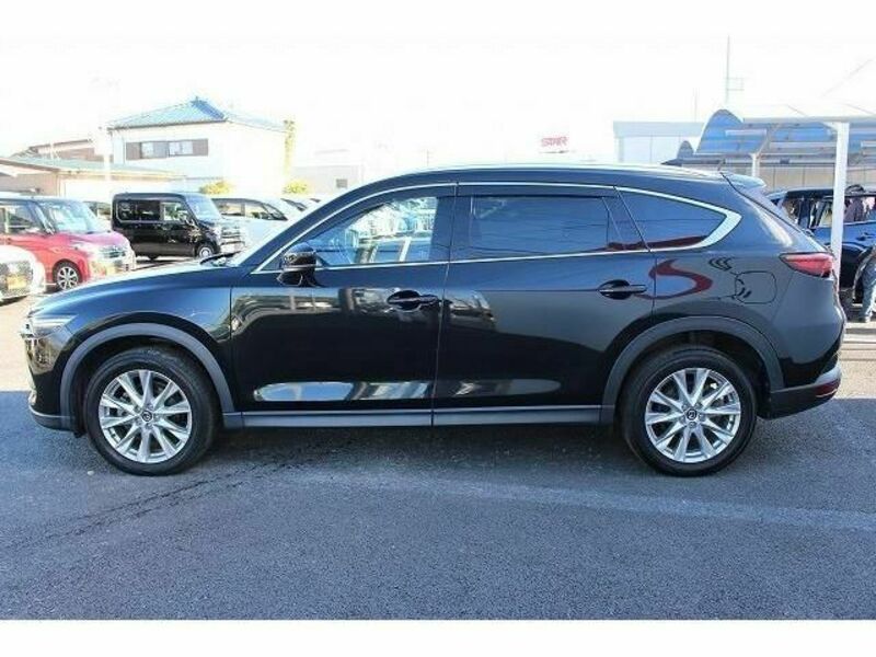 CX-8