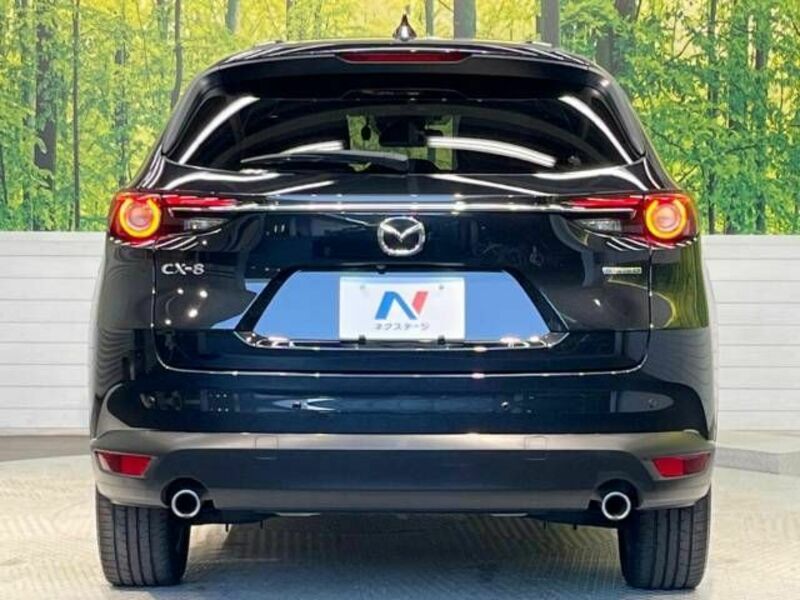 CX-8