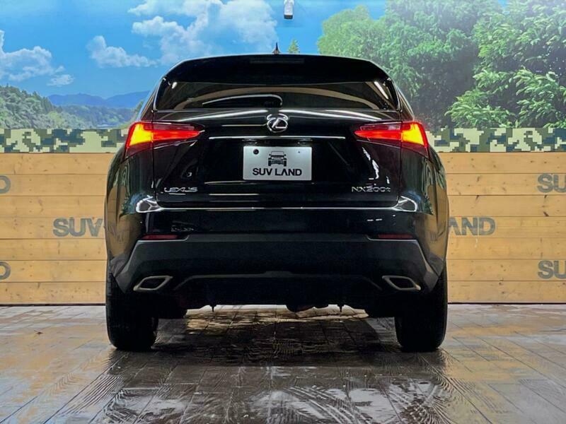 NX