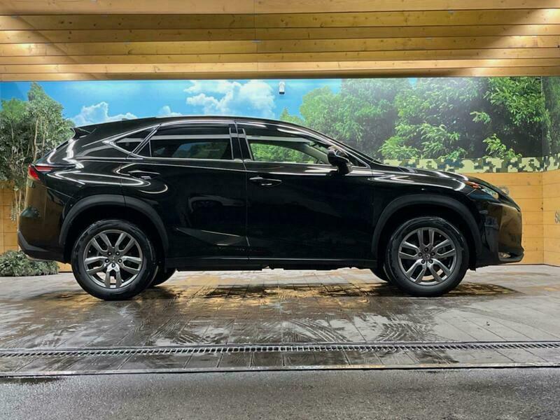NX