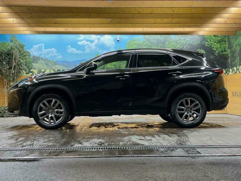 NX