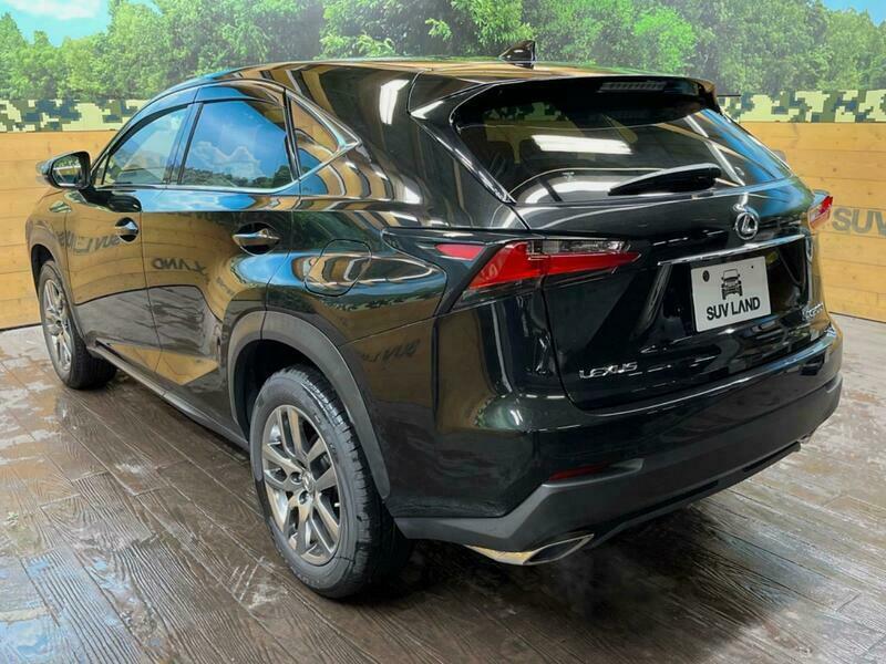 NX