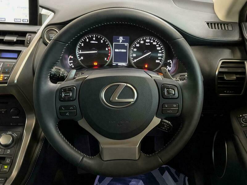 NX