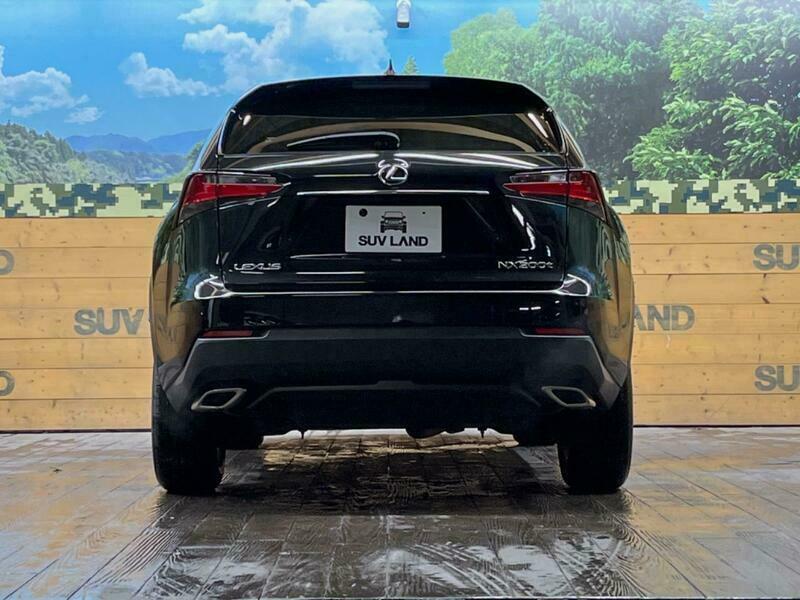 NX