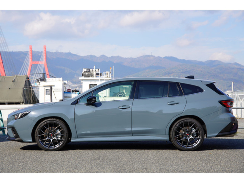 LEVORG