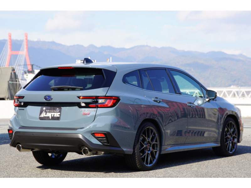 LEVORG