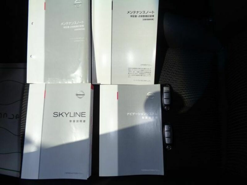 SKYLINE