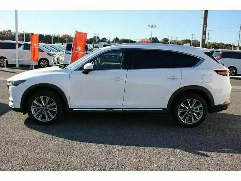 CX-8