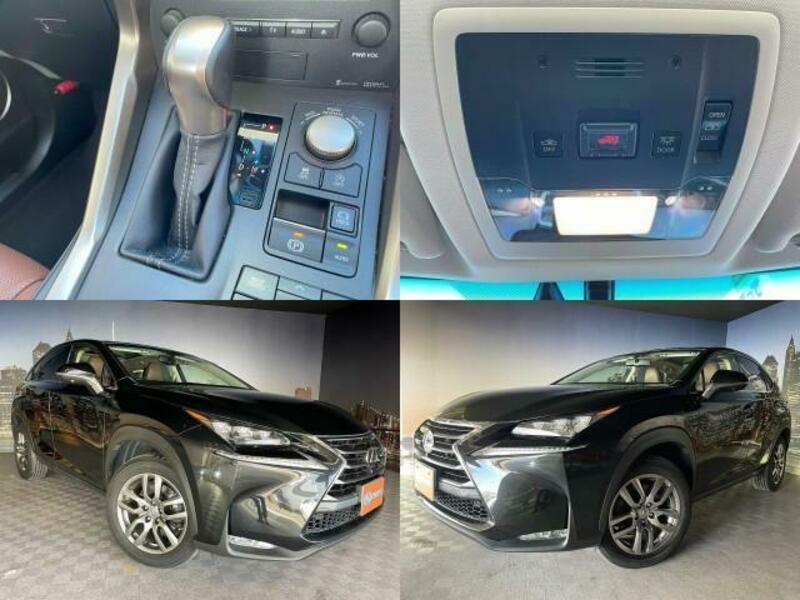 NX
