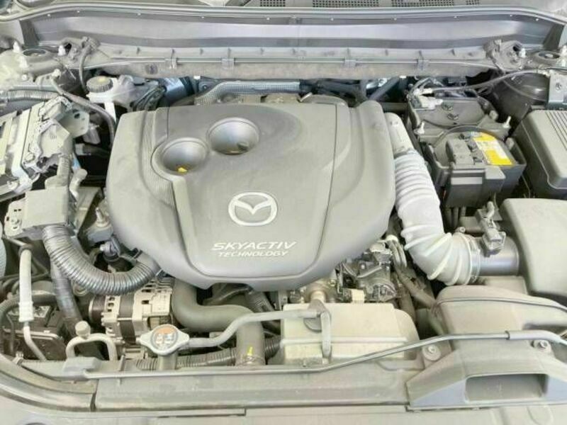 CX-8