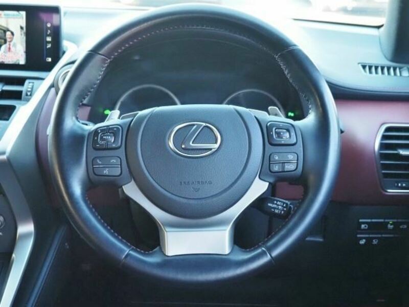 NX