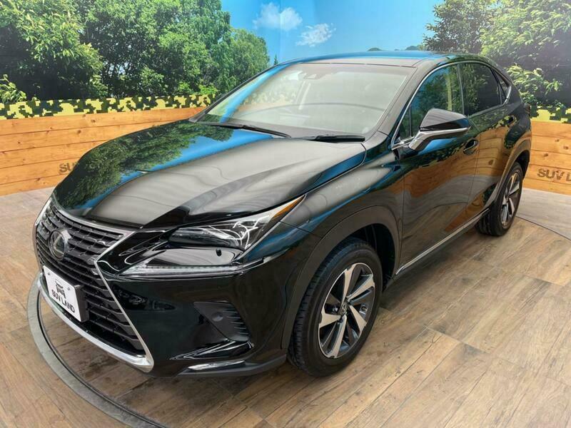 NX
