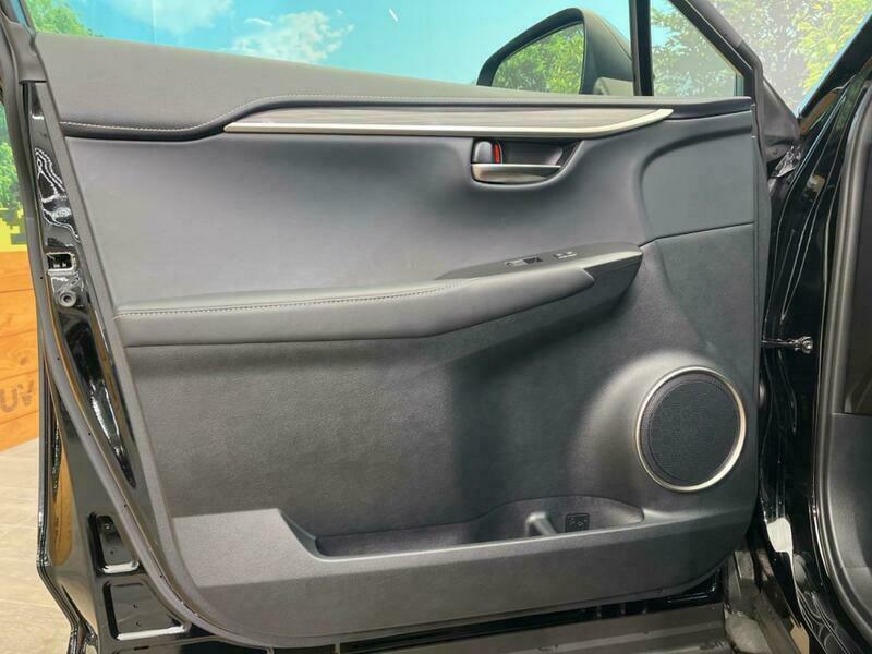 NX