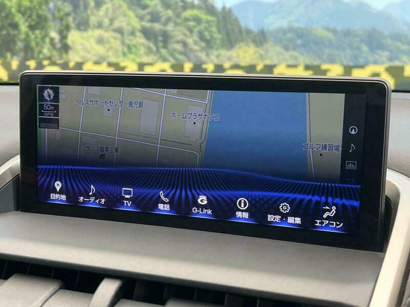 NX