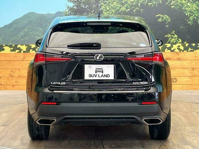 NX