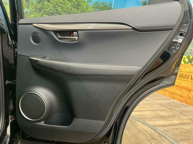 NX