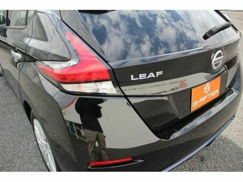 LEAF