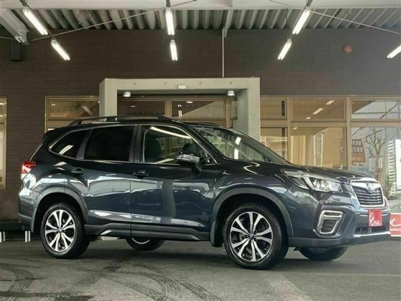 FORESTER