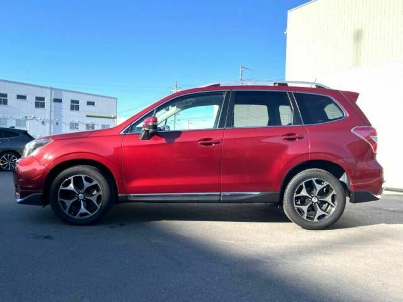FORESTER