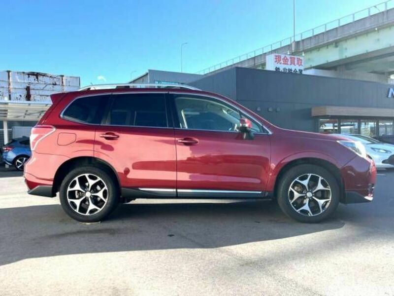 FORESTER