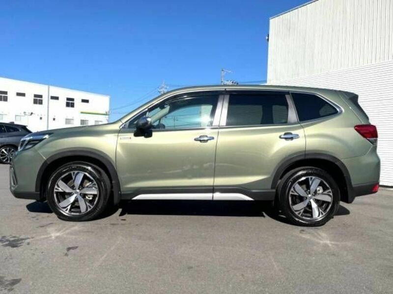 FORESTER