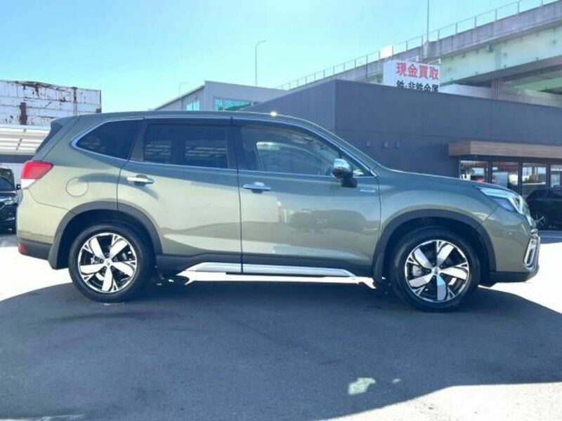 FORESTER
