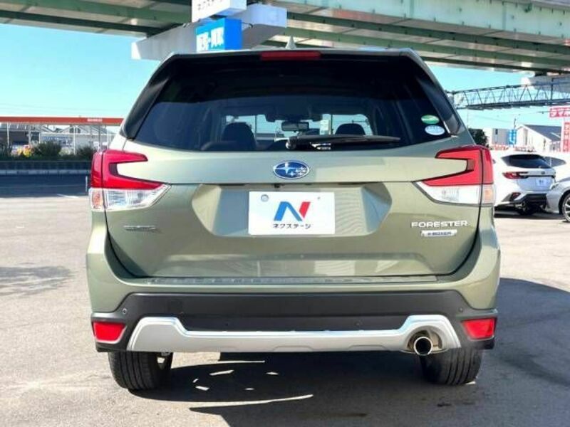 FORESTER