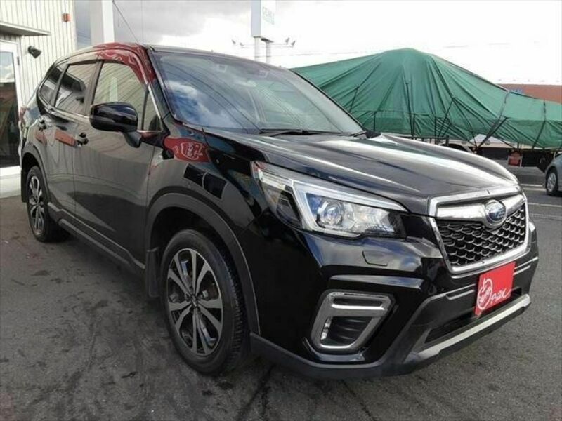 FORESTER