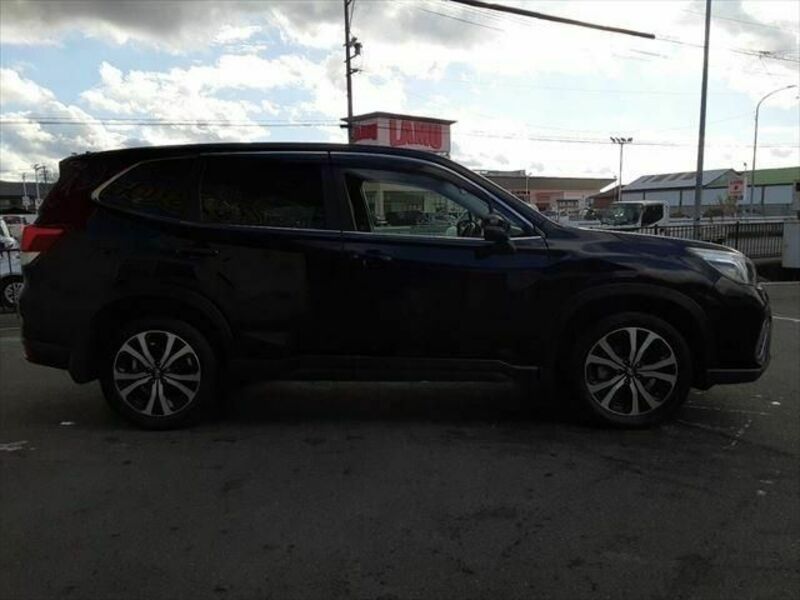 FORESTER