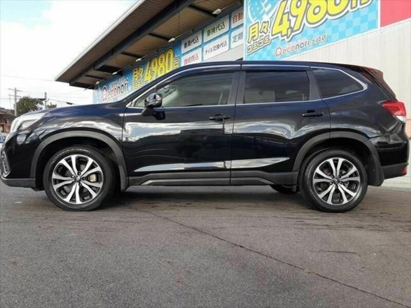 FORESTER