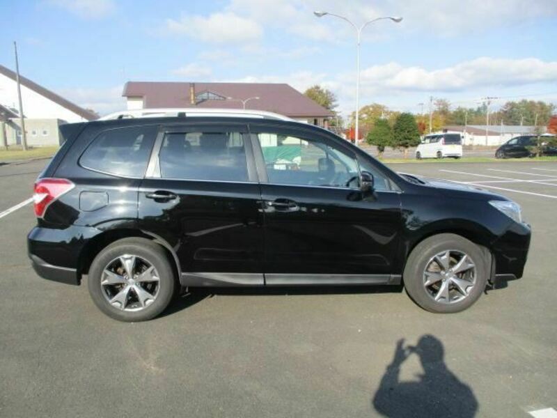 FORESTER