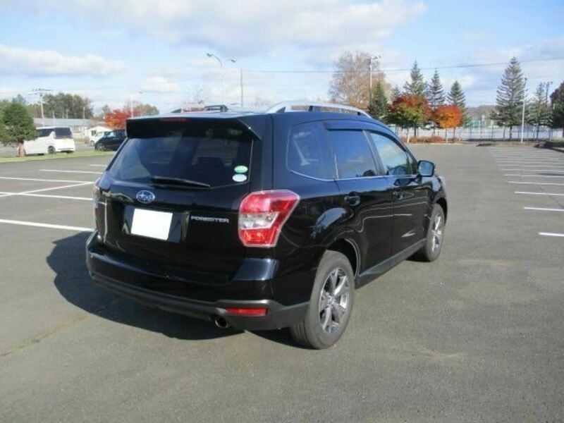 FORESTER