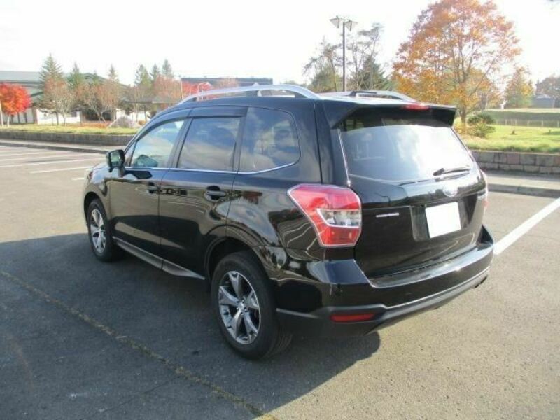 FORESTER