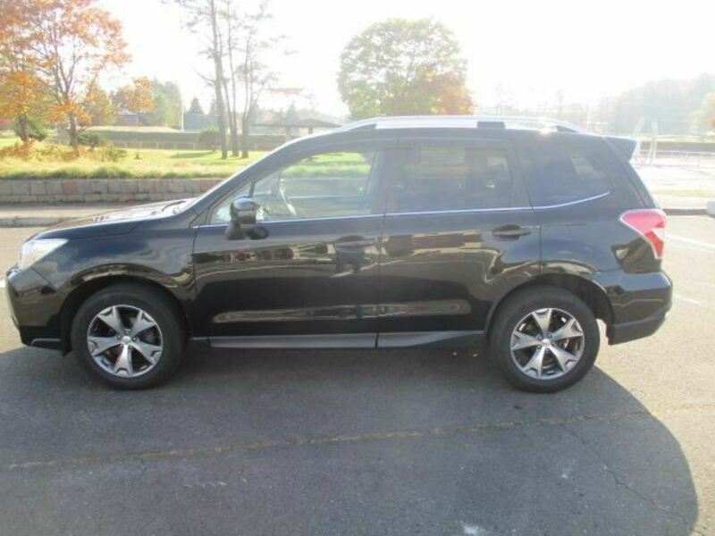FORESTER