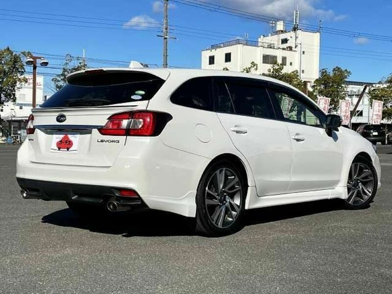 LEVORG